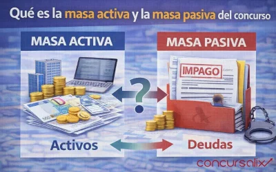 Qué es la masa activa y la masa pasiva del concurso