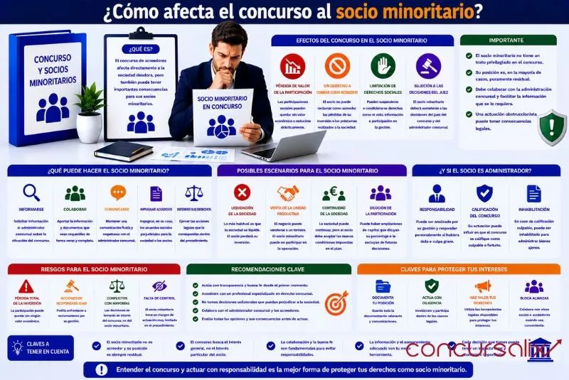 auditor concurso acreedores