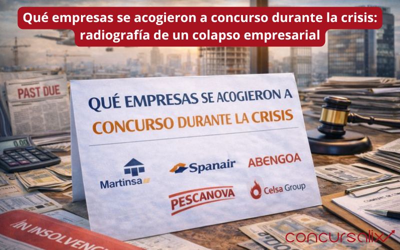Qué empresas se acogieron a concurso durante la crisis